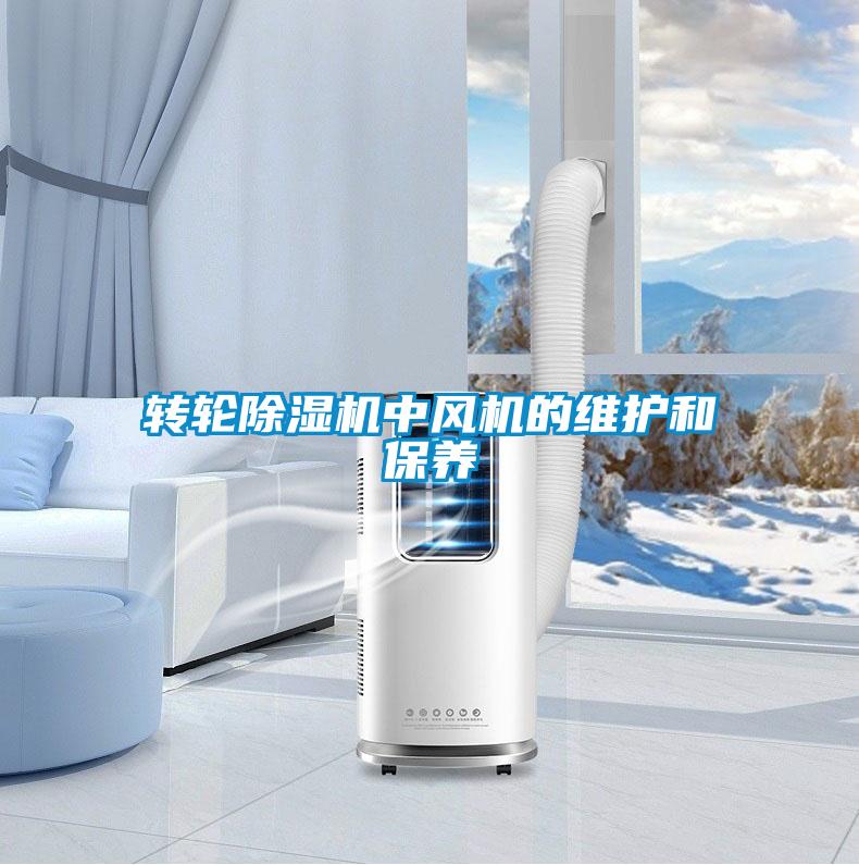 轉輪除濕機中風機的維護和保養(yǎng)