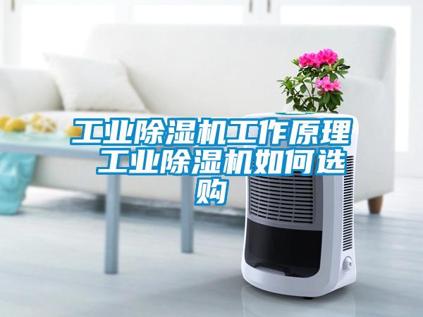 工業(yè)除濕機工作原理 工業(yè)除濕機如何選購
