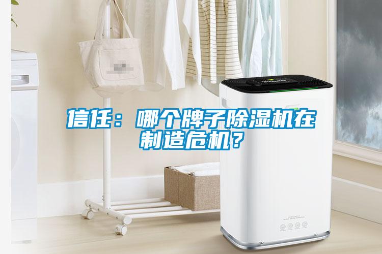 信任：哪個(gè)牌子除濕機(jī)在制造危機(jī)？