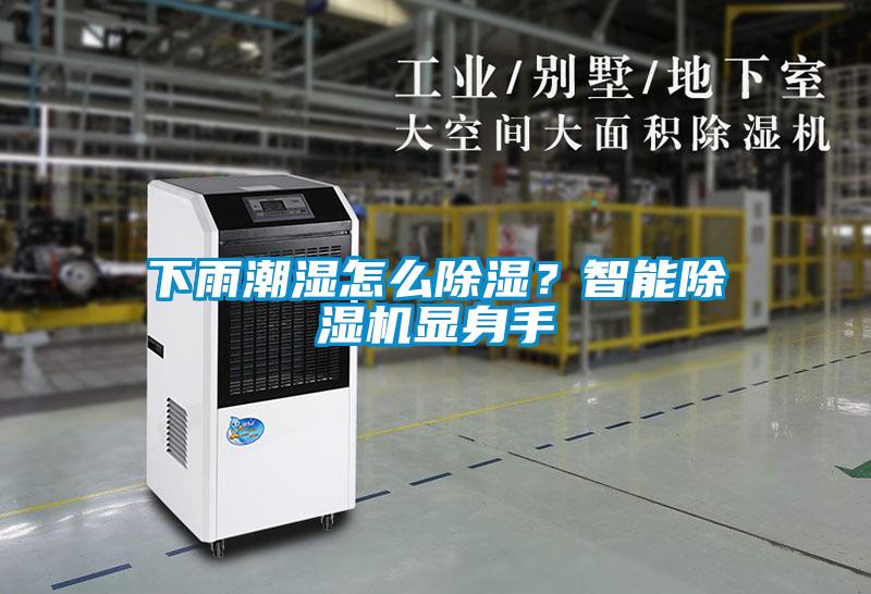 下雨潮濕怎么除濕？智能除濕機顯身手