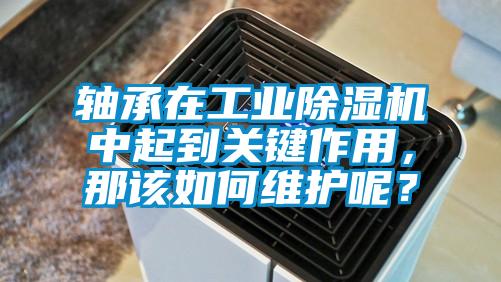 軸承在工業(yè)除濕機中起到關鍵作用，那該如何維護呢？