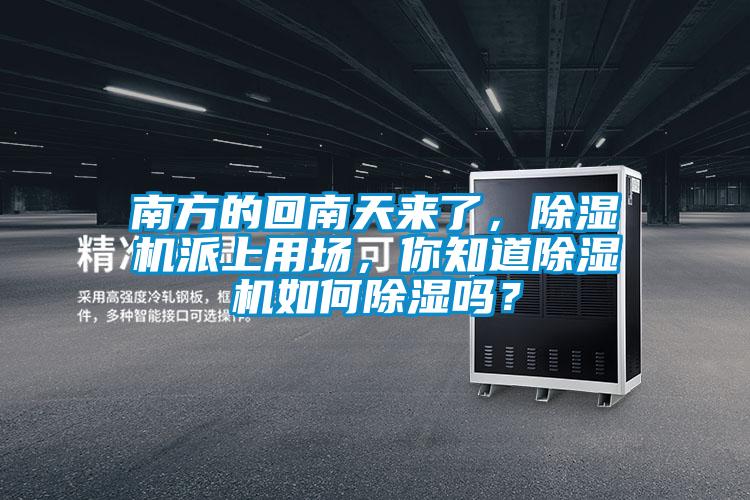 南方的回南天來了，除濕機(jī)派上用場，你知道除濕機(jī)如何除濕嗎？