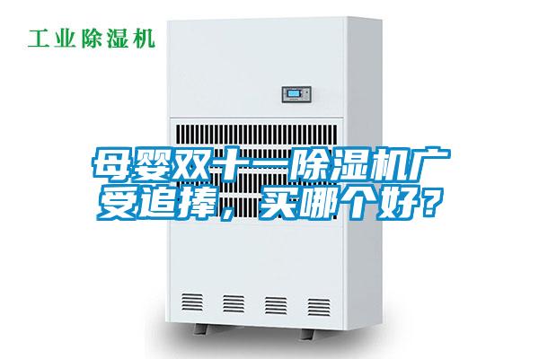 母嬰雙十一除濕機(jī)廣受追捧，買哪個(gè)好？