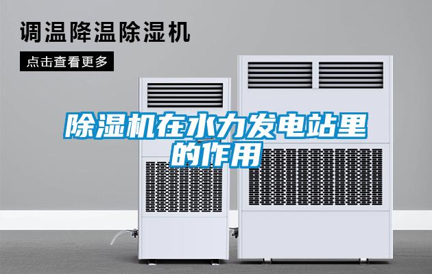 除濕機(jī)在水力發(fā)電站里的作用