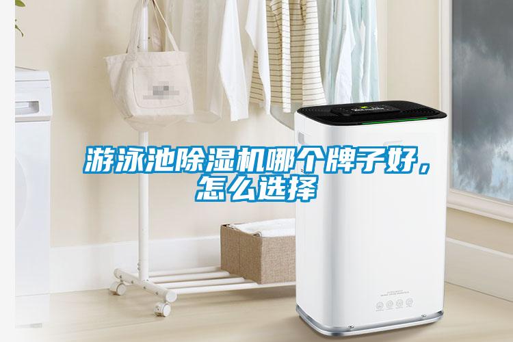 游泳池除濕機(jī)哪個(gè)牌子好，怎么選擇