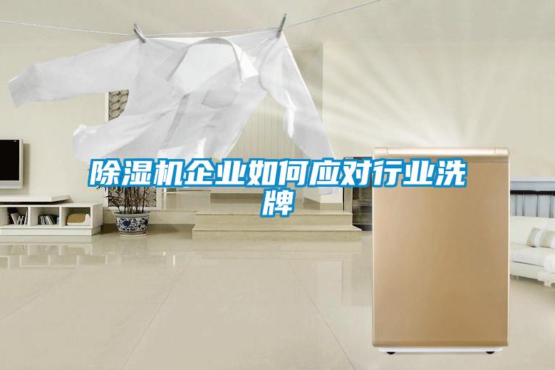 除濕機(jī)企業(yè)如何應(yīng)對行業(yè)洗牌