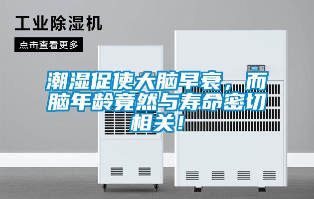 潮濕促使大腦早衰，而腦年齡竟然與壽命密切相關(guān)！