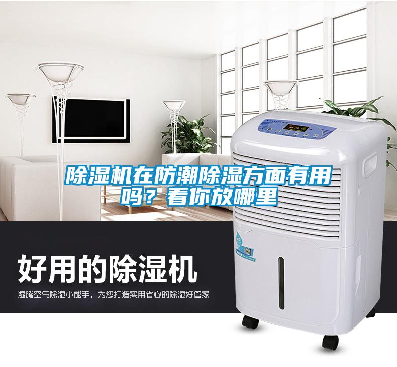除濕機在防潮除濕方面有用嗎？看你放哪里