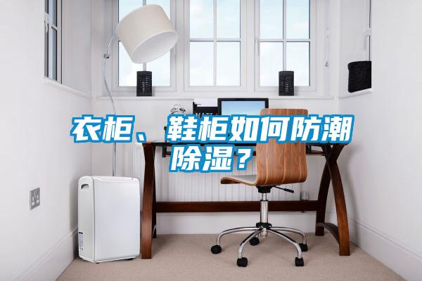 衣柜、鞋柜如何防潮除濕？
