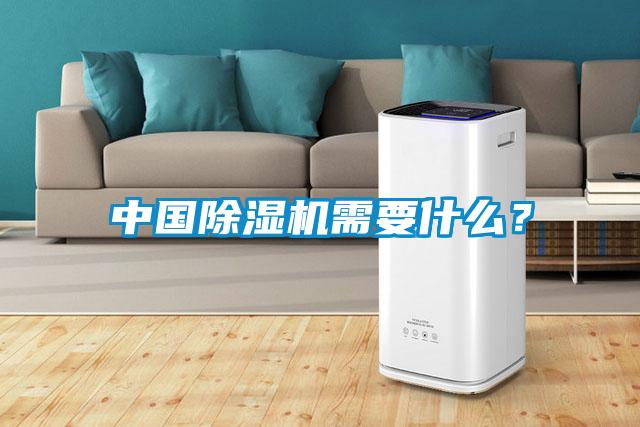 中國(guó)除濕機(jī)需要什么？