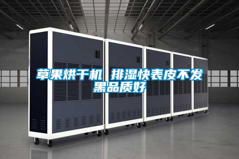 草果烘干機 排濕快表皮不發(fā)黑品質(zhì)好