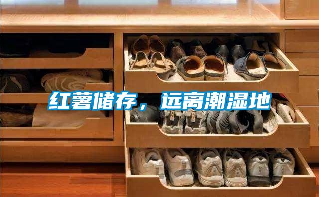 紅薯儲(chǔ)存，遠(yuǎn)離潮濕地