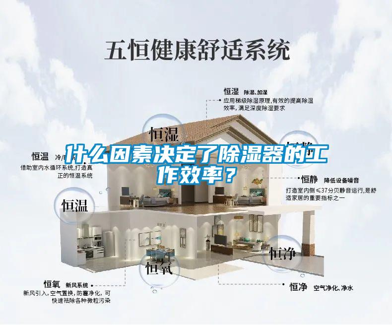 什么因素決定了除濕器的工作效率？