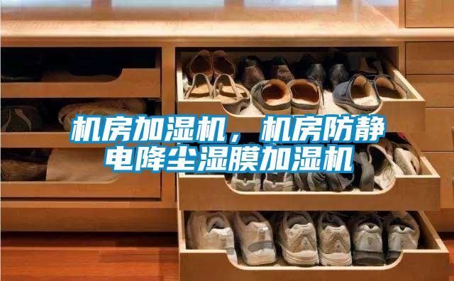 機(jī)房加濕機(jī)，機(jī)房防靜電降塵濕膜加濕機(jī)