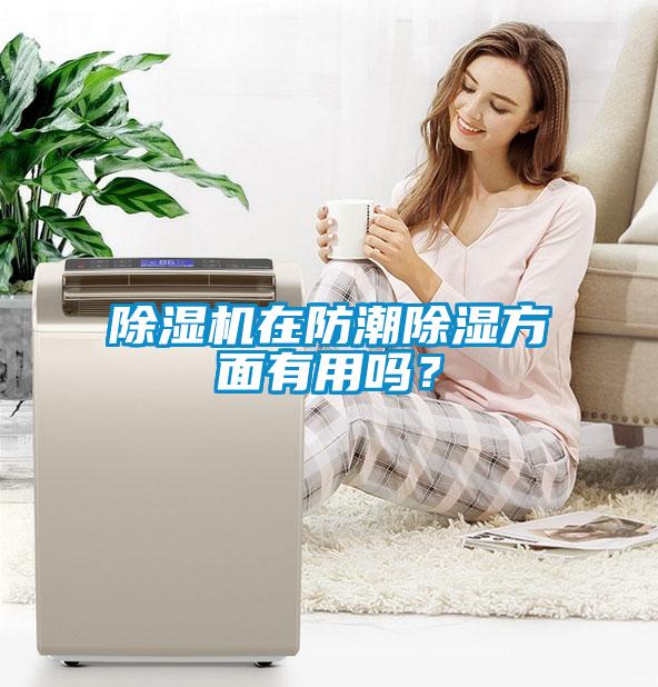 除濕機(jī)在防潮除濕方面有用嗎？
