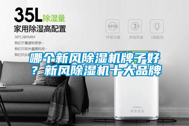 哪個新風(fēng)除濕機牌子好？新風(fēng)除濕機十大品牌