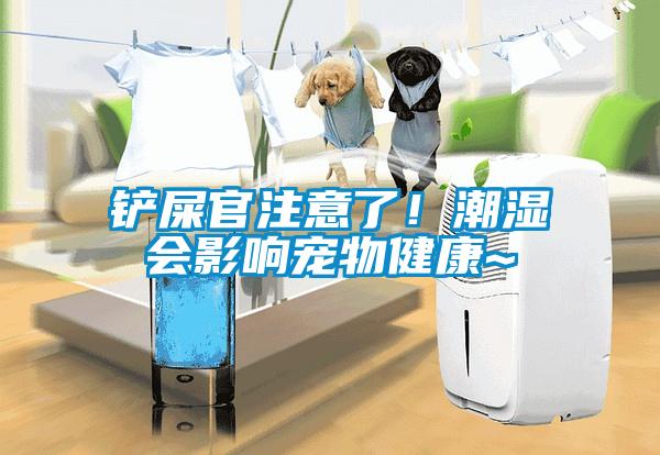 鏟屎官注意了！潮濕會(huì)影響寵物健康~