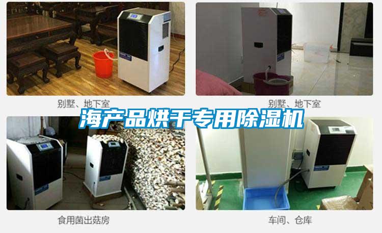 海產(chǎn)品烘干專(zhuān)用除濕機(jī)