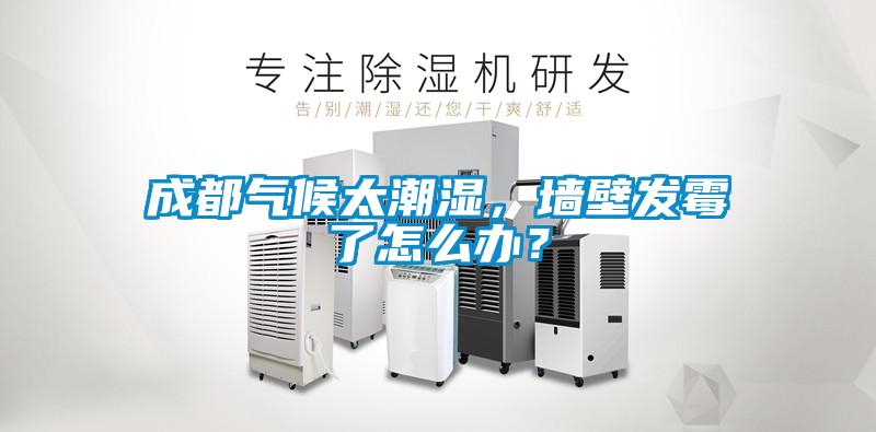 成都?xì)夂蛱睗?，墻壁發(fā)霉了怎么辦？