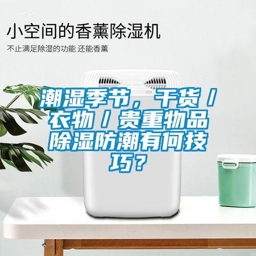 潮濕季節(jié)，干貨／衣物／貴重物品除濕防潮有何技巧？