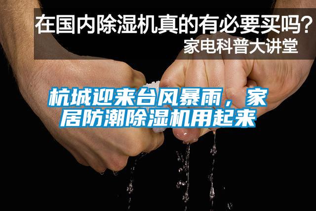 杭城迎來臺(tái)風(fēng)暴雨，家居防潮除濕機(jī)用起來