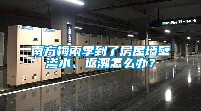 南方梅雨季到了房屋墻壁滲水、返潮怎么辦？