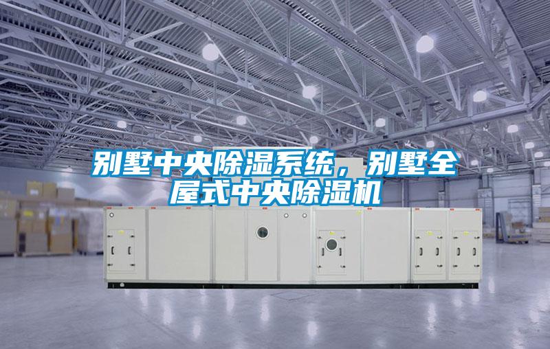 別墅中央除濕系統(tǒng)，別墅全屋式中央除濕機