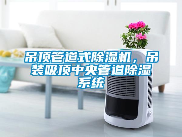 吊頂管道式除濕機(jī)，吊裝吸頂中央管道除濕系統(tǒng)