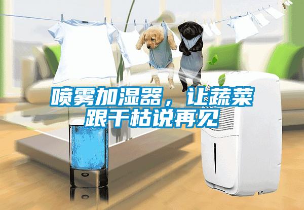 噴霧加濕器，讓蔬菜跟干枯說再見