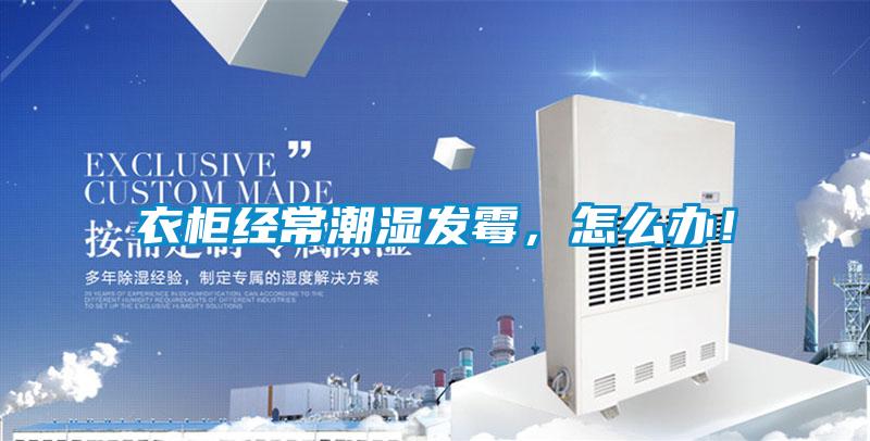 衣柜經(jīng)常潮濕發(fā)霉，怎么辦！