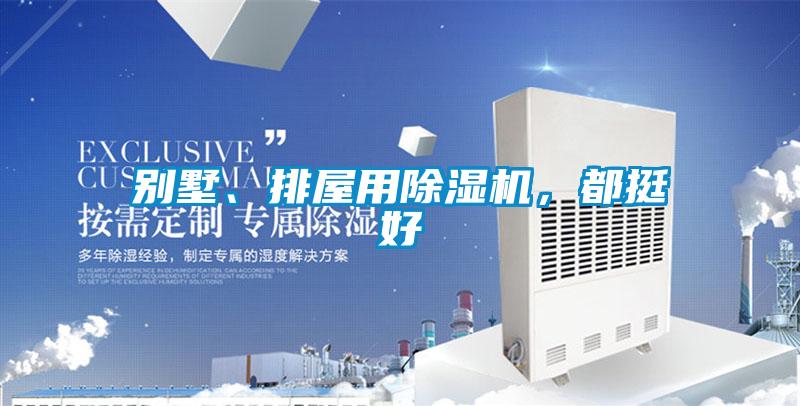 別墅、排屋用除濕機(jī)，都挺好