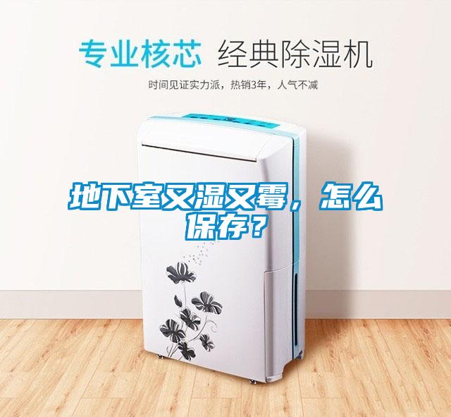 地下室又濕又霉，怎么保存？