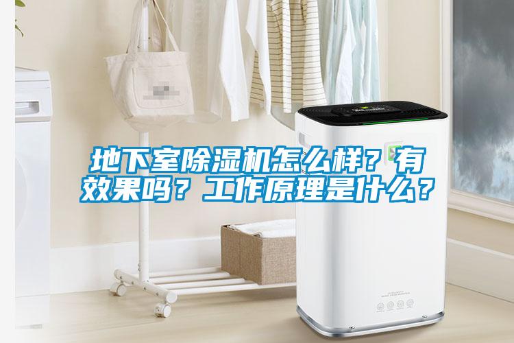 地下室除濕機怎么樣？有效果嗎？工作原理是什么？