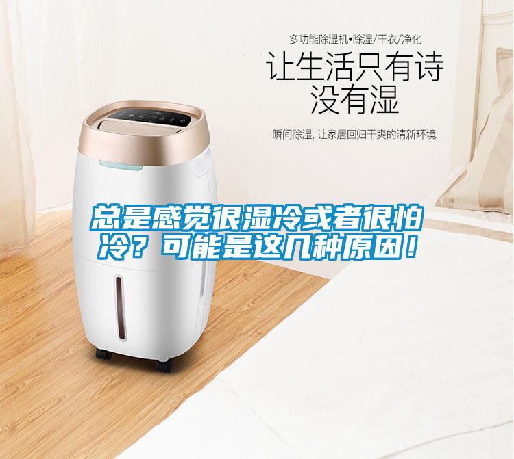 總是感覺(jué)很濕冷或者很怕冷？可能是這幾種原因！