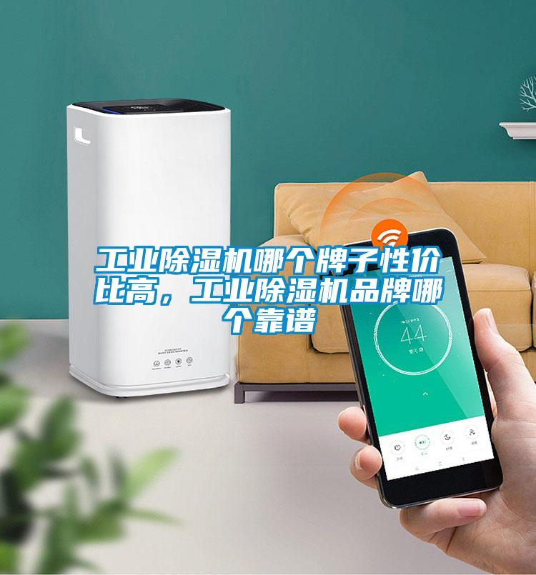 工業(yè)除濕機(jī)哪個(gè)牌子性?xún)r(jià)比高，工業(yè)除濕機(jī)品牌哪個(gè)靠譜