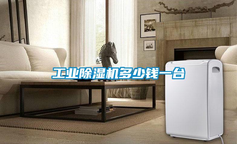 工業(yè)除濕機(jī)多少錢一臺(tái)