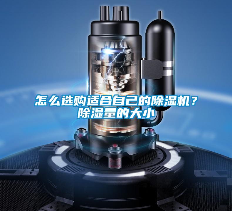 怎么選購(gòu)適合自己的除濕機(jī)？除濕量的大小