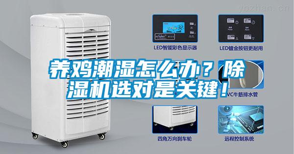 養(yǎng)雞潮濕怎么辦？除濕機選對是關鍵！