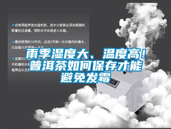 雨季濕度大、溫度高！普洱茶如何保存才能避免發(fā)霉