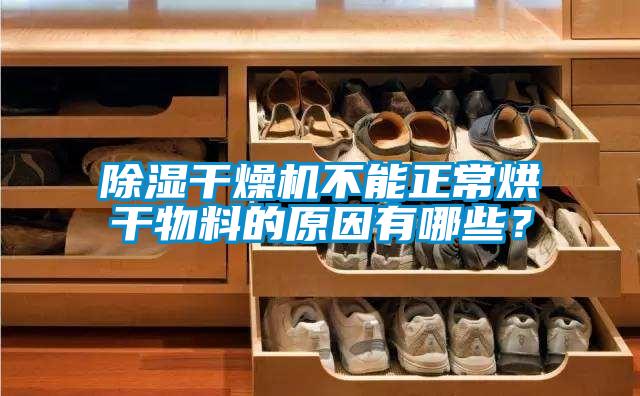 除濕干燥機(jī)不能正常烘干物料的原因有哪些？