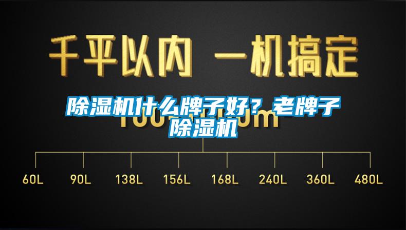 除濕機(jī)什么牌子好？老牌子除濕機(jī)