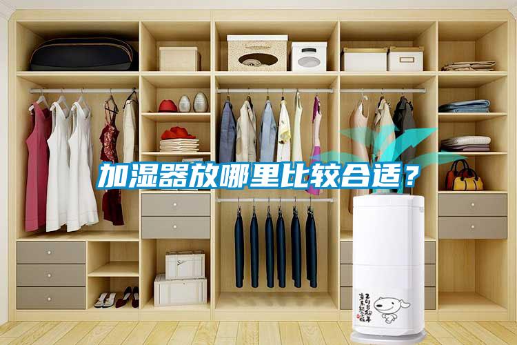 加濕器放哪里比較合適？
