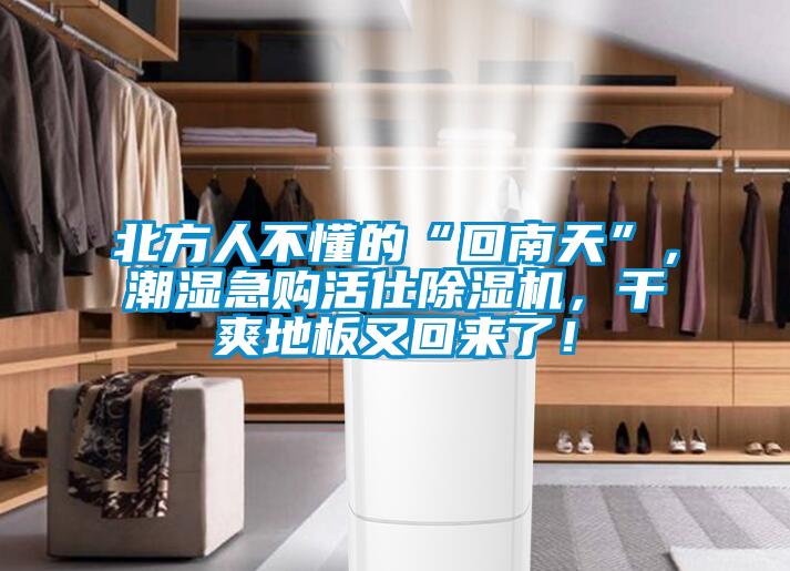 北方人不懂的“回南天”，潮濕急購(gòu)活仕除濕機(jī)，干爽地板又回來(lái)了！