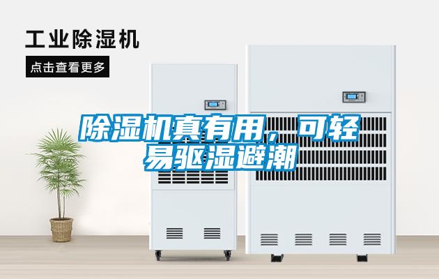 除濕機(jī)真有用，可輕易驅(qū)濕避潮