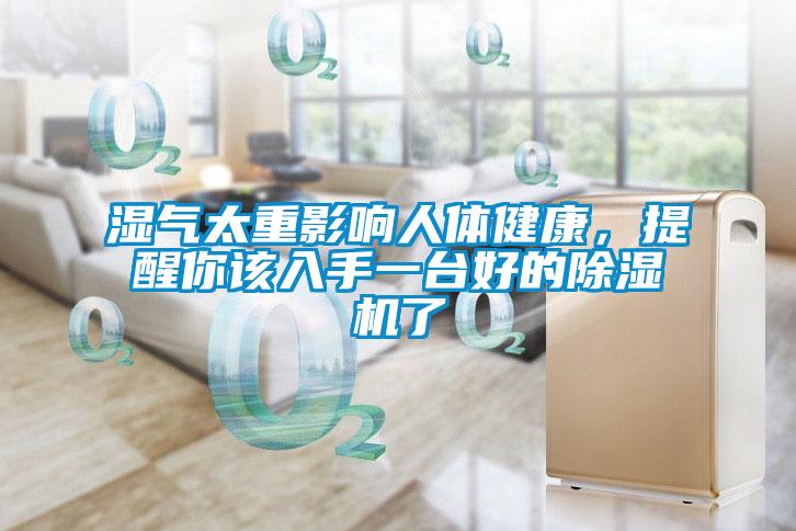 濕氣太重影響人體健康，提醒你該入手一臺(tái)好的除濕機(jī)了