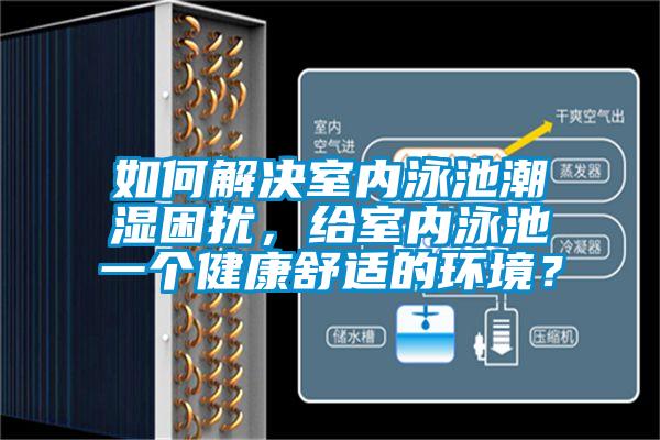 如何解決室內(nèi)泳池潮濕困擾，給室內(nèi)泳池一個(gè)健康舒適的環(huán)境？