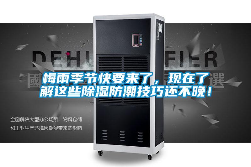 梅雨季節(jié)快要來了，現(xiàn)在了解這些除濕防潮技巧還不晚！