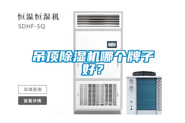 吊頂除濕機(jī)哪個牌子好？