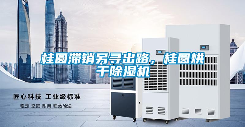 桂圓滯銷另尋出路，桂圓烘干除濕機