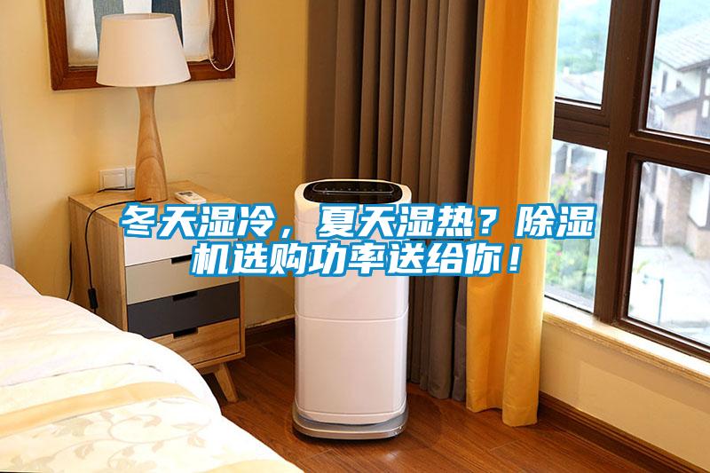 冬天濕冷，夏天濕熱？除濕機選購功率送給你！